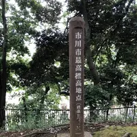 噴水広場の写真・動画_image_582463