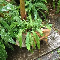 岡本太郎記念館の写真・動画_image_582783