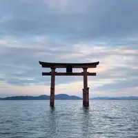 白鬚神社の写真・動画_image_582819