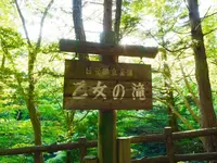 乙女の滝の写真・動画_image_584386
