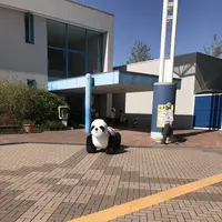 木曽三川公園の写真・動画_image_585192