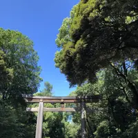 明治神宮の写真・動画_image_586031