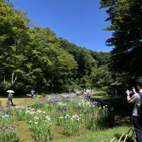 明治神宮の写真・動画_image_586032