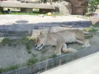 東武動物公園の写真・動画_image_586762
