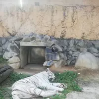 東武動物公園の写真・動画_image_586763