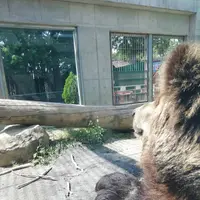 東武動物公園の写真・動画_image_586765