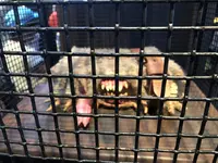 ユニバーサル・スタジオ・ジャパン／Universal Studios Japan／USJの写真・動画_image_588083