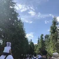 ユニバーサル・スタジオ・ジャパン／Universal Studios Japan／USJの写真・動画_image_588084