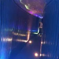 飛騨大鍾乳洞の写真・動画_image_588688