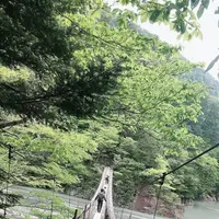 寸又峡の写真・動画_image_588822