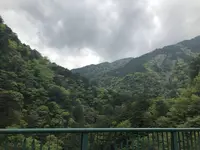 寸又峡の写真・動画_image_588823