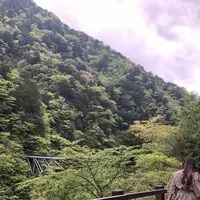 寸又峡の写真・動画_image_588825