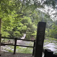 寸又峡の写真・動画_image_588826