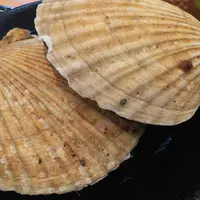 呑み処 ぶらっとの写真・動画_image_596749