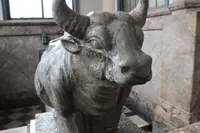 築地本願寺の写真・動画_image_598566
