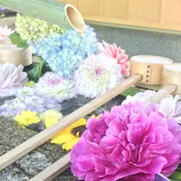 勝林寺の写真・動画_image_598725