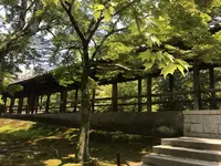 東福寺の写真・動画_image_599086
