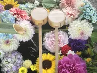 勝林寺の写真・動画_image_599184