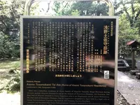 赤坂氷川神社の写真・動画_image_600391