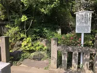 泉岳寺の写真・動画_image_600694