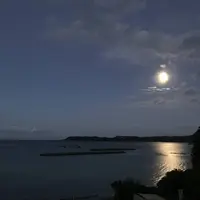 かめやの写真・動画_image_600844