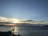 かめやの写真・動画_image_600845