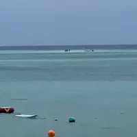 百合ヶ浜の写真・動画_image_600911