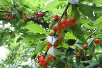 栄屋ホテルの写真・動画_image_602405