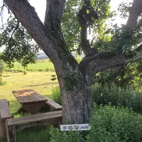 プチペンション田舎倶楽部の写真・動画_image_605740