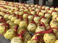 牡丹の寺多聞院の写真・動画_image_605782