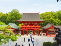 近江神宮の写真・動画_image_605909