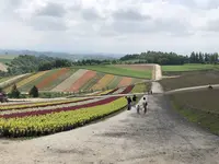 四季彩の丘の写真・動画_image_606918