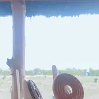 ラコリーナ近江八幡の写真・動画_image_607622