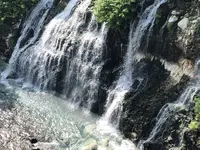 白ひげの滝の写真・動画_image_608809