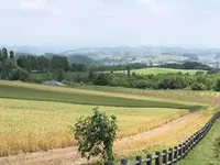 北西の丘 展望公園の写真・動画_image_608826