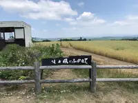 北西の丘 展望公園の写真・動画_image_608830