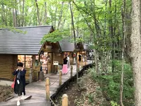 ニングルテラスの写真・動画_image_608890