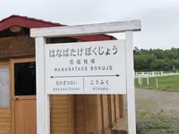 花畑牧場の写真・動画_image_608900