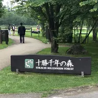 十勝千年の森の写真・動画_image_608906
