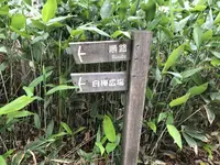十勝千年の森の写真・動画_image_608910