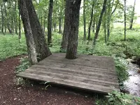 十勝千年の森の写真・動画_image_608913