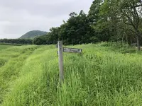 十勝千年の森の写真・動画_image_608915