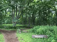 十勝千年の森の写真・動画_image_608919