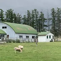 北海道箱根牧場の写真・動画_image_609256
