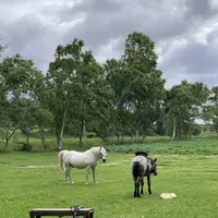 北海道箱根牧場の写真・動画_image_609257