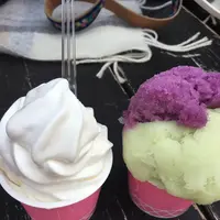 倉敷美観地区の写真・動画_image_609412