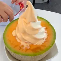 ポプラファーム 中富良野本店の写真・動画_image_610376