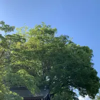 護国神社儀式殿の写真・動画_image_610648