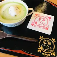 スヌーピー茶屋の写真・動画_image_610797