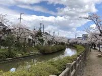 氷見市の写真・動画_image_612810